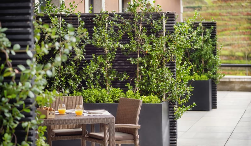 Quinta_Superior 4_10778